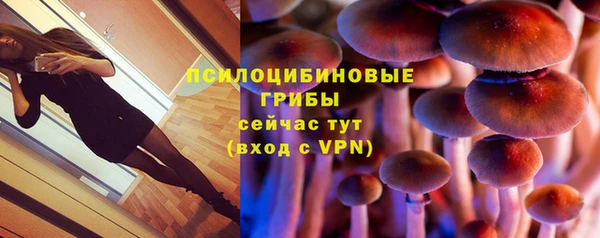 молекула духа Алексин