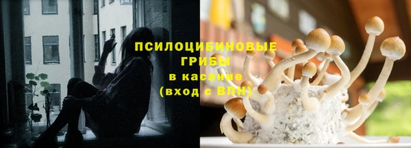 молекула духа Алексин