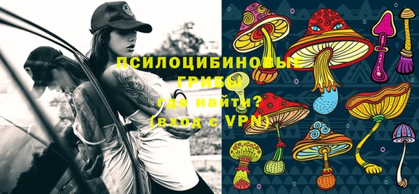 МДПВ Алзамай