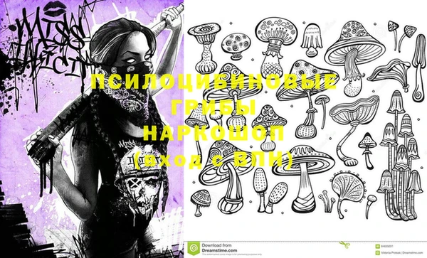 молекула духа Алексин